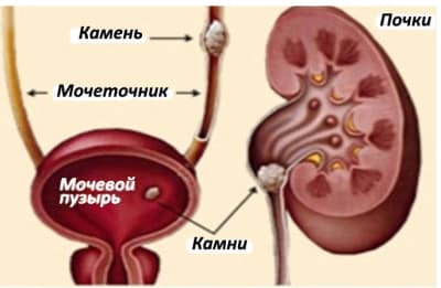 Изображение 5 Изображение 5