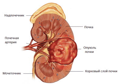 Иллюстрация 5 Иллюстрация 5