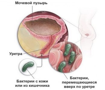 Картинка 2 Картинка 2
