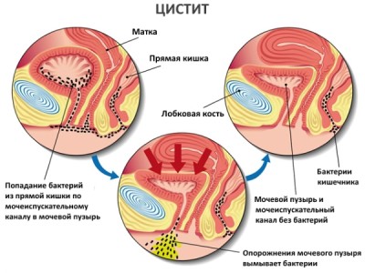 Картинка 1 Картинка 1