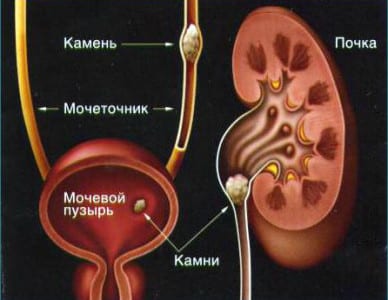 Картинка 3 Картинка 3