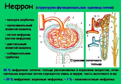 Картинка 6 Картинка 6