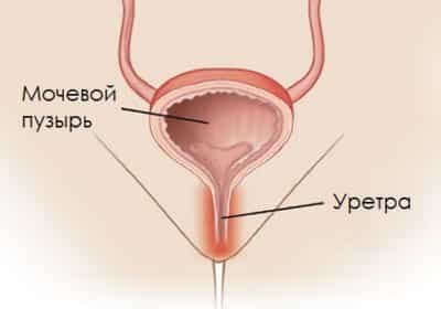 Изображение 3 Изображение 3