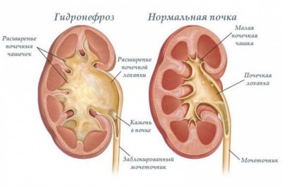 Иллюстрация 3 Иллюстрация 3