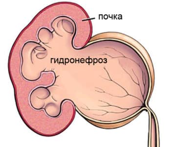 Иллюстрация 1 Иллюстрация 1