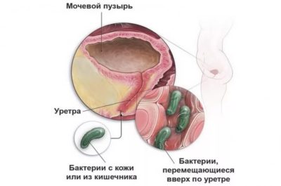Иллюстрация 1 Иллюстрация 1