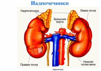 Картинка 1 Картинка 1