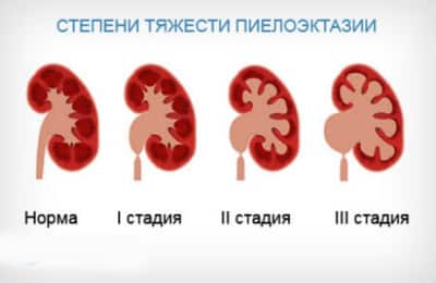 Иллюстрация 2 Иллюстрация 2